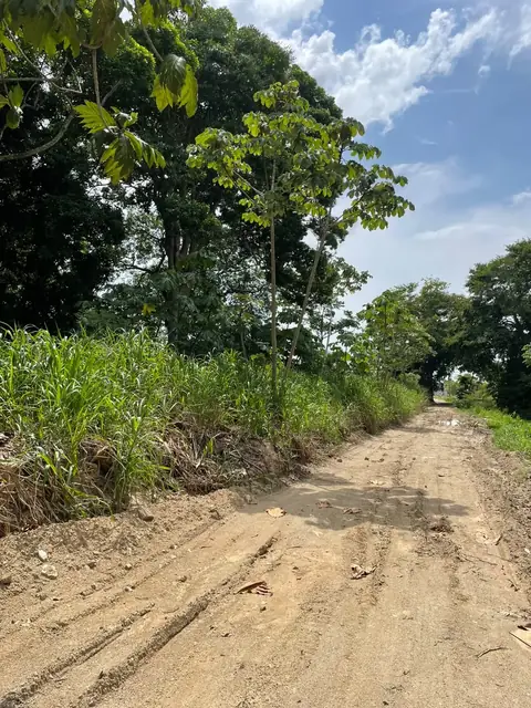 Terreno en venta Tela Atlántida carretera al Aeródromo 