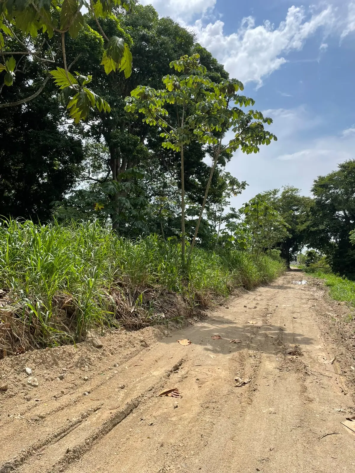 Terreno en venta Tela Atlántida carretera al Aeródromo