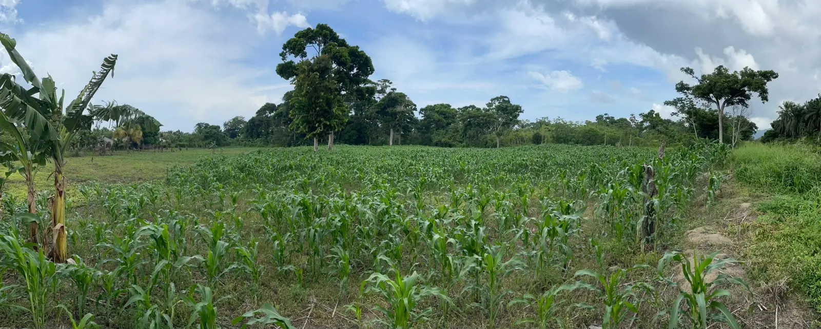 Terreno en venta Tela Atlántida carretera al Aeródromo  — foto 2